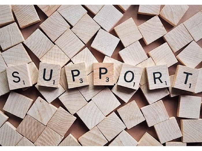 Peer Support Workers